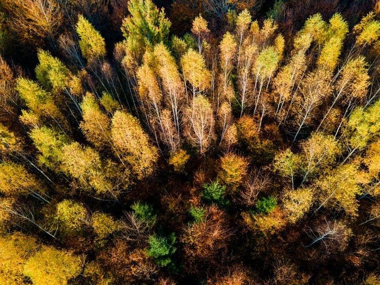 Linking Maximo and ServiceNow to 3D Spatial Asset Trees for Field Technicians: An Architectural Guide